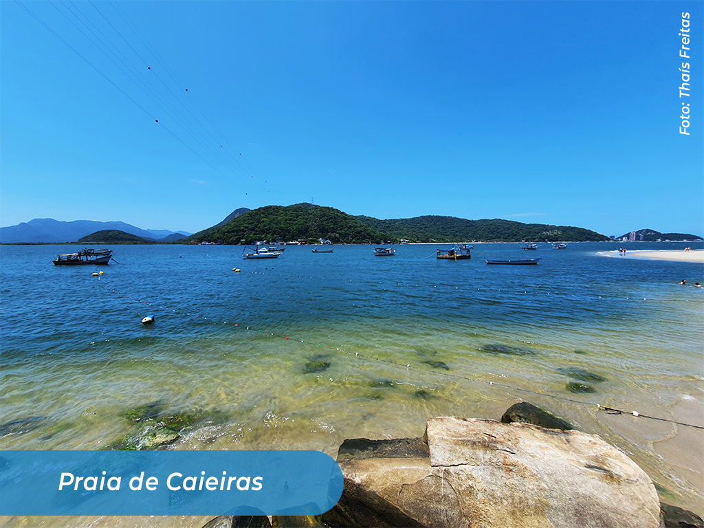 Imagem 3
