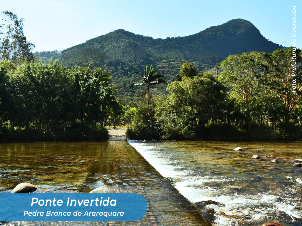 Imagem 10