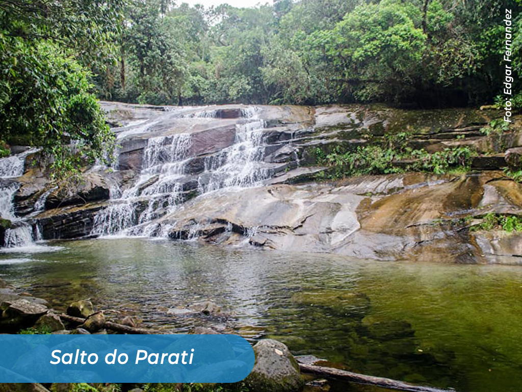 Imagem 12